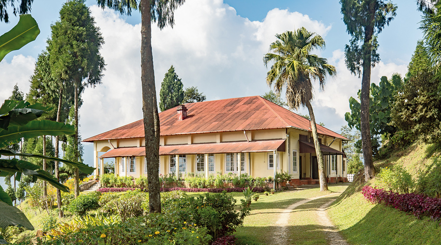 The bungalow at Dooteriah Tea Estate