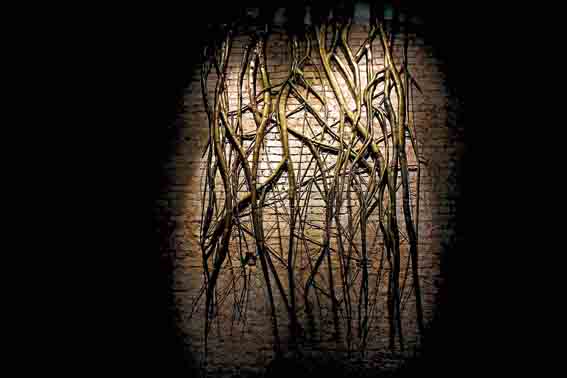 The roots that will rip through your ego. “Look for balance and joy,” says Narayan.