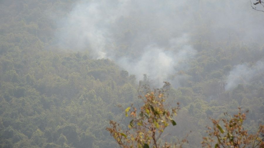 Smoke billows from Dalma wildlife sanctuary. 
