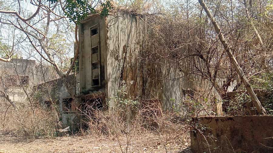 Dilapidated quarters at the HCL township.