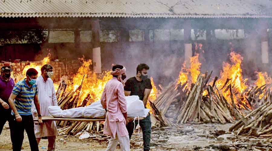  'This tragedy has shaken humanity'  : Sonia Gandhi calls for national plan to fight the epidemic