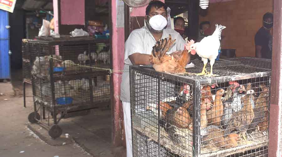 A chicken shop owner waiting for customers in Hirapur, Hatia in Dhanbad on Wednesday.