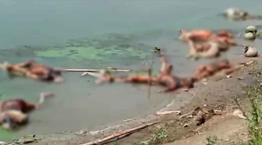Dozens of decomposing bodies washed up at the bank of Ganga River, amid ongoing COVID-19 pandemic, at Chausa in Buxar