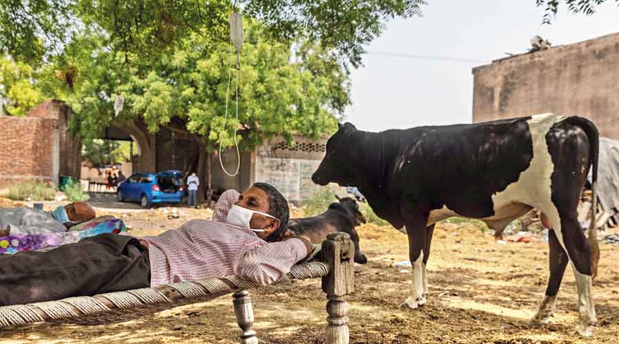 Roshan Lal, 48, a villager with breathing difficulty, rests in a cot at a makeshift open-air clinic at Mewla Gopalgarh village in Jewar district, Uttar Pradesh, on Sunday.  