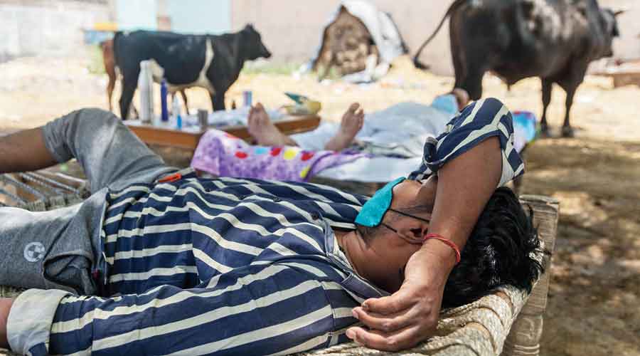 A villager with breathing difficulties rest in a cot as he receives treatment at the makeshift open-air clinic last week