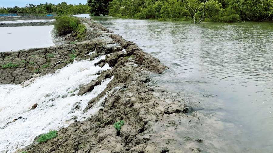A breach in an embankment along a river at Sandeshkhali in the Sunderbans. 