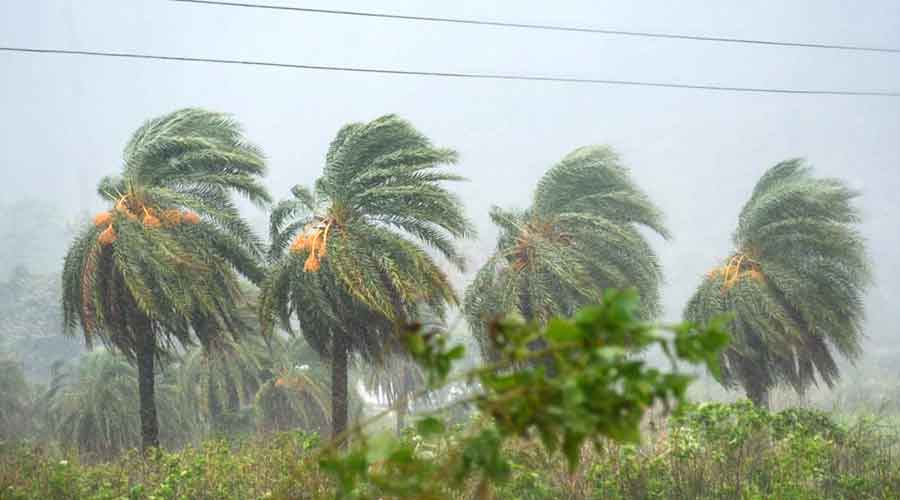 Gusty winds and rain at Dimna on the outskirts of Jamshedpur on Wednesday.