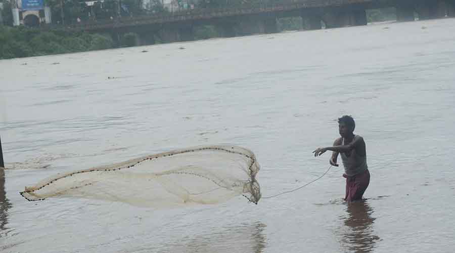 A fisherman throws his net in a swollen Subernarekha river in Jamshedpur on Thursday. 