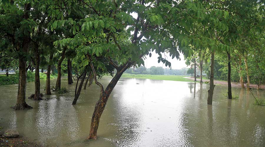 The state Disaster Management Authority informed that in the last 24 hours, the districts of Kollam, Kottayam, Thiruvananthapuram, Idukki and Thrissur were affected the most.