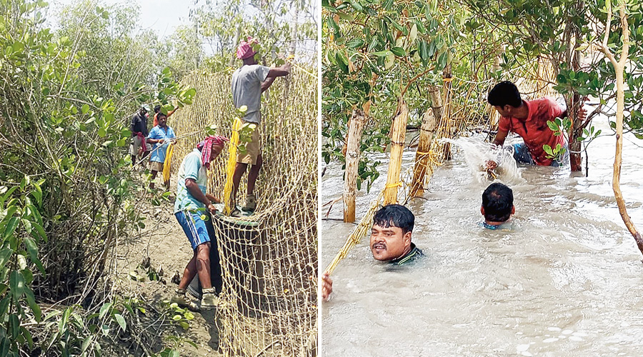 Forest department employees and local people repair nylon fences at Sajnekhali in the Sunderbans.