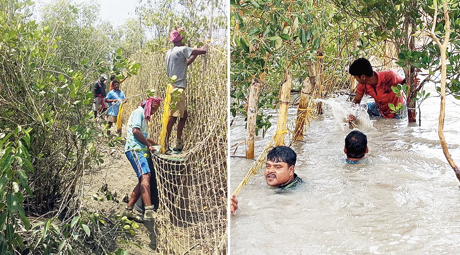    Bengal forest department repairs storm-hit fence (artificial barrier meant to protect villagers from tigers) in Sunderbans Tiger Reserve