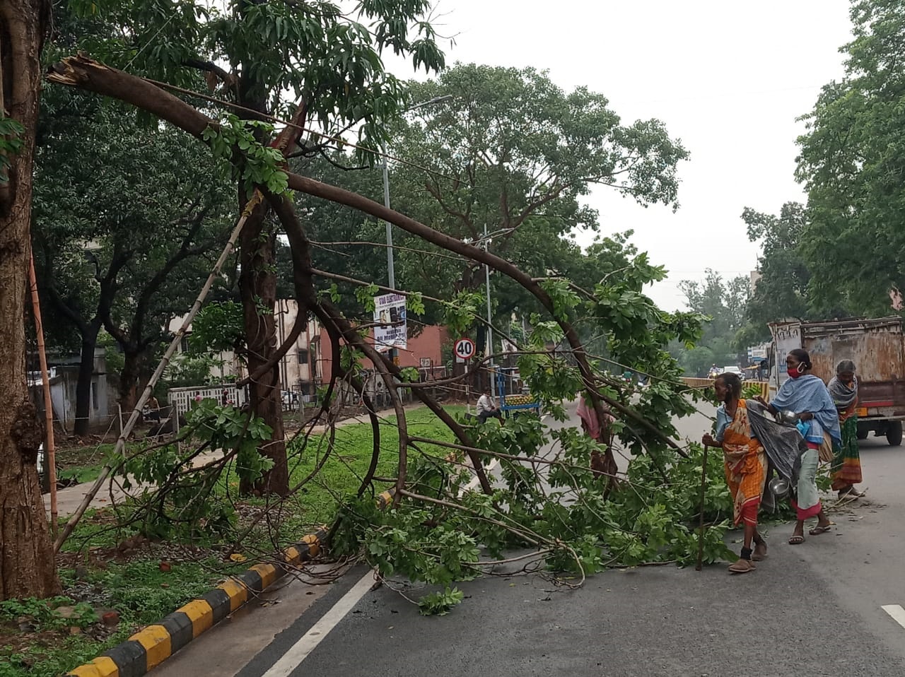 Branches of a tree that fell on Straight Mile Road at Sakchi in Jamshedpur on Monday morning.