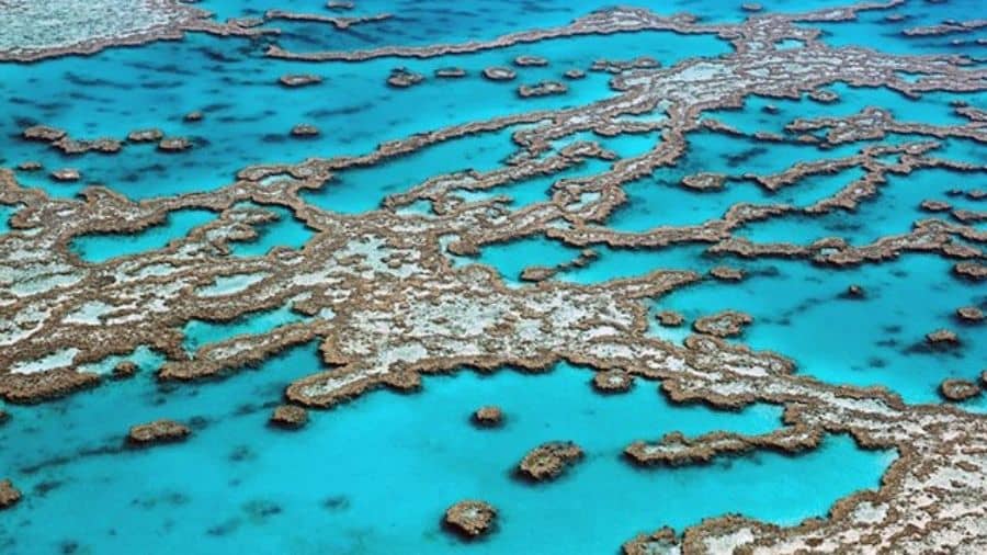 Great Barrier Reef - Five major heatwaves in 30 years have turned the ...