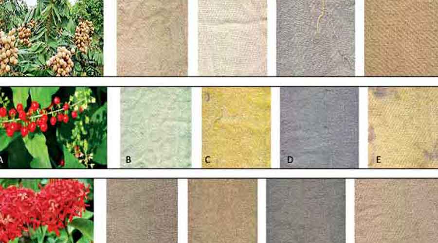 A page from a BSI report on cotton samples dyed  with different plant-based dyes.