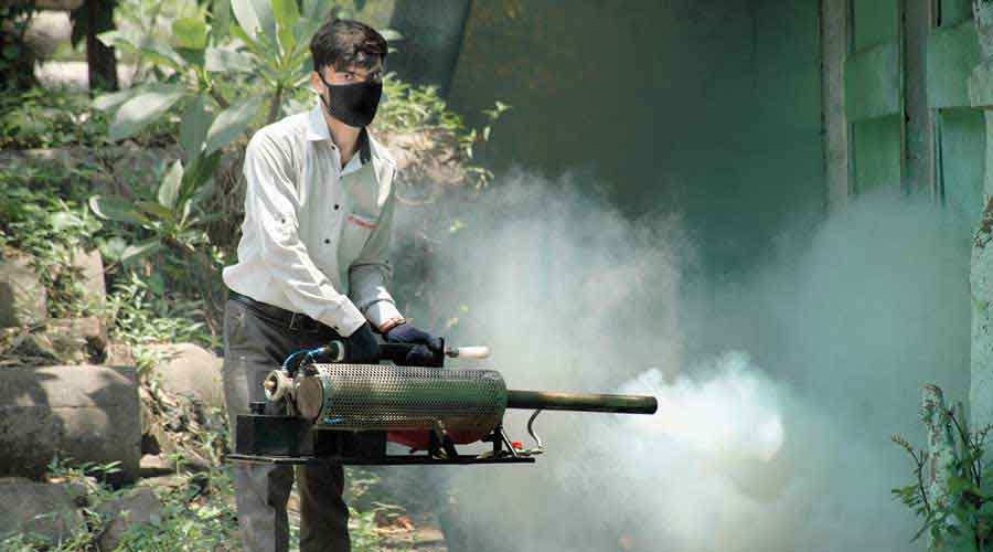 According to an analysis published by the public health department, Bengal had reported 42,666 dengue cases this year till Thursday.