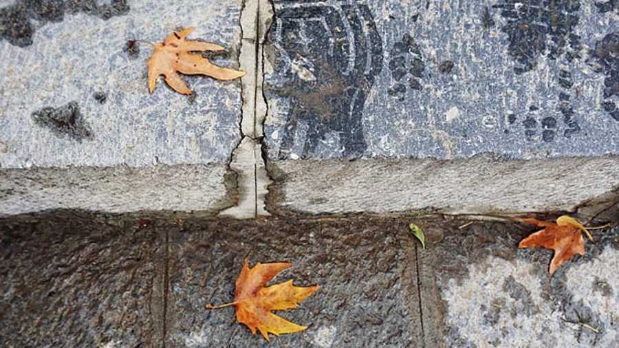 Chinar leaves and a soldier’s footprint