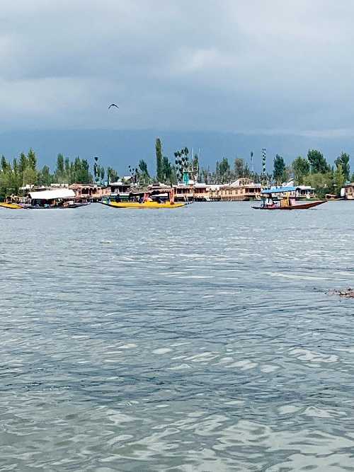 The Dal Lake is an evergreen attraction