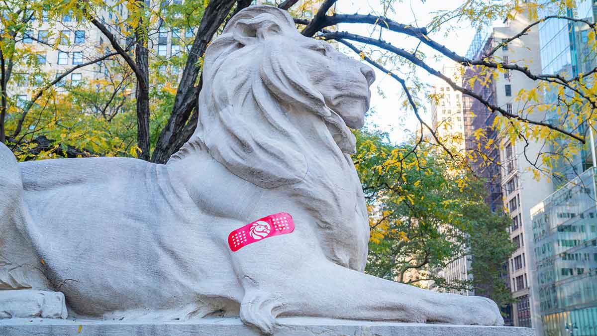 Lion outside NYPL.