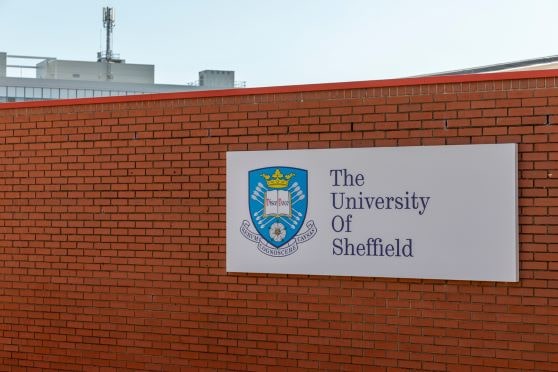 DPS students selected for any University of Sheffield UG course will be able to apply for the scholarship.