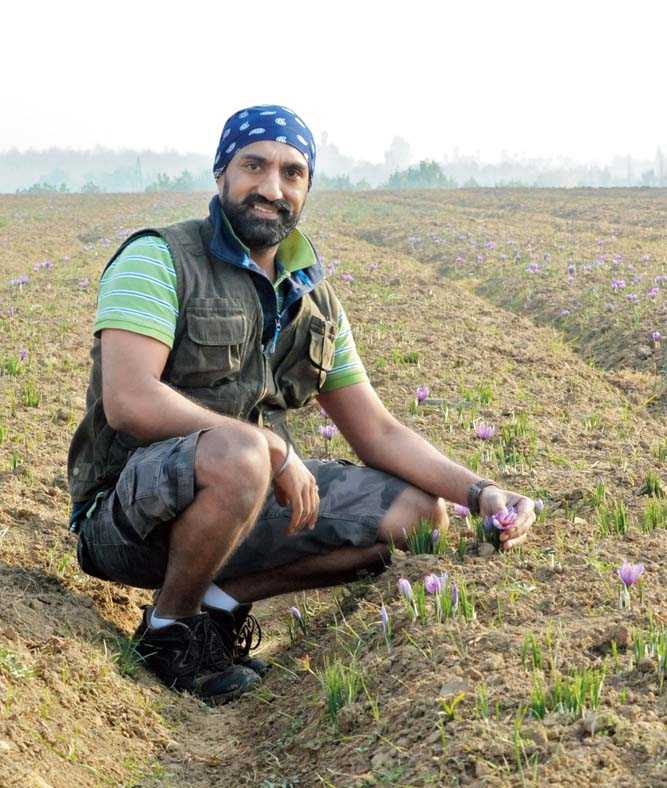 The author at the saffron fields in Pampore