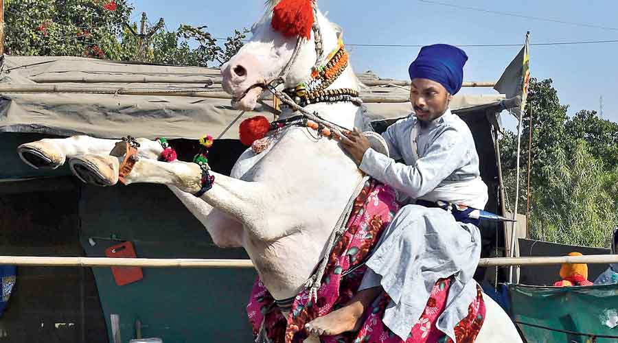 A Nihang rides a horse at the Singhu border in New Delhi  on Sunday.