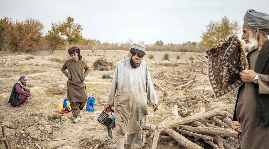 Abdul Hamid (right) with farmhands at his pomegranate orchard in Arghandab, Afghanistan. 