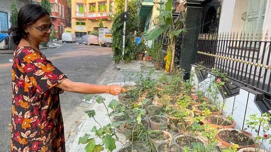 With a smile on her face, Debjani Ganguly inspects her pavement garden on Amrita Lal Bose Street