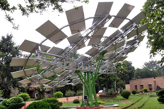 The world’s largest solar tree at the CSIR-CMERI Residential Colony in Durgapur. 