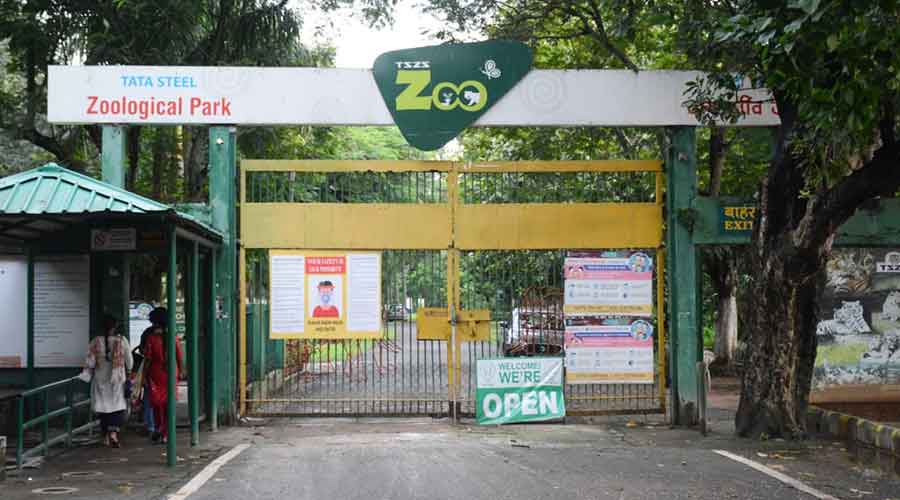Tata Steel Zoological Park in Jamshedpur on Friday.
