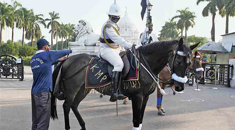 A diaper being tied to a horse in front of the Victoria Memorial Hall on Friday. 