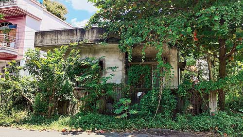 An abandoned house in AJ Block that has got overrun by wild growth.