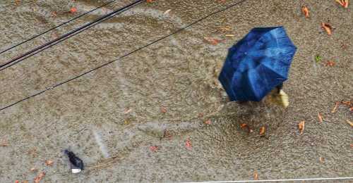 Subarnarekha Ganguly, Bangur Avenue