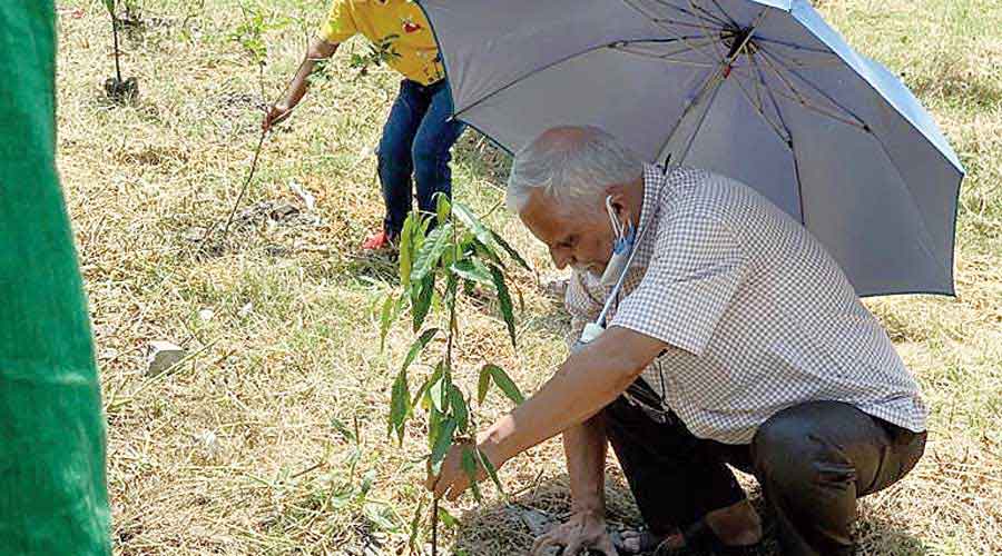 A resident plants a tree in AK Block