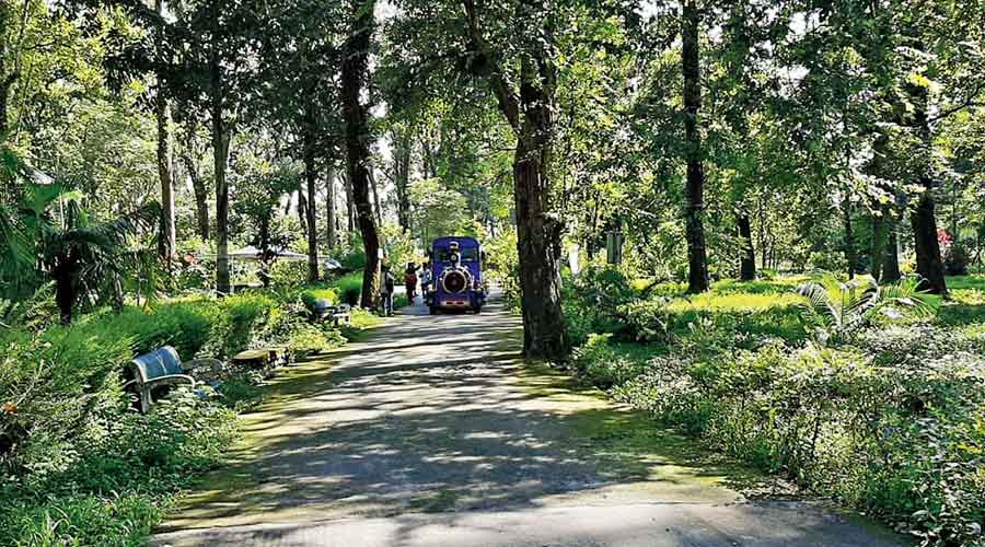 Rajendra Jhakar, chief conservator of forest wildlife (north), said: “This afternoon (Thursday) I received a notice stating that from tomorrow (Friday), sanctuaries and national parks will be opened for tourists.”