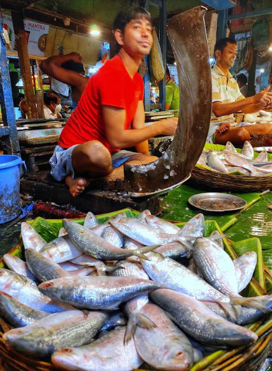 FISH FEAST: Hilsa from Bangladesh on sale at a market in north Kolkata on Friday, September 24. As an advance Durga Puja gift, Bengal’s eastern neighbour has allowed its traders to export over 4,500 tonnes of hilsa to Bengal — by far the most the Bangladesh government has allowed in recent years