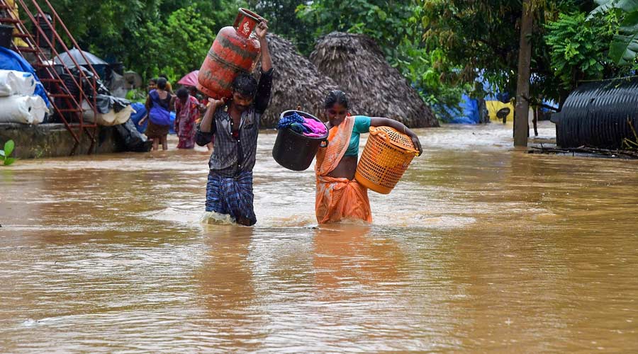 Nine head of cattle also died in the cyclone. Cyclone Gulab: Rains lash several parts of Telangana, IMD issues red alert to 14 districts Nine head of cattle also died in the cyclone. Cyclone Gulab: Rains lash several parts of Telangana, IMD issues red alert to 14 districts
