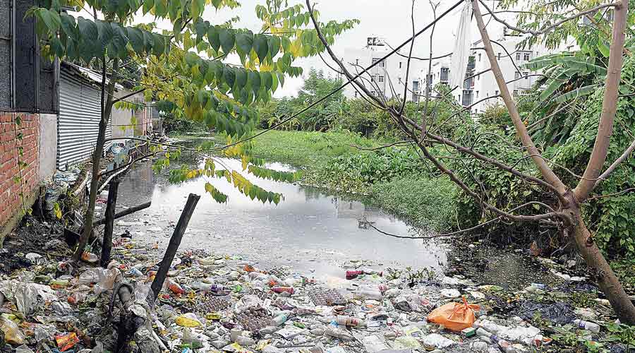 A clogged canal near Sukhobrishti Housing Complex