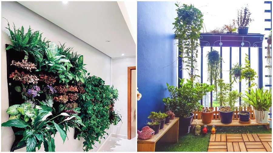 Green walls (left) are a cool way to utilise limited space and a balcony (right) is all you need to create your own slice of greenery