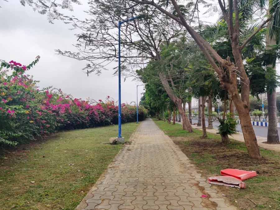 The blushing trees are replaced by bougainvillea as you proceed towards Eco Park. With pink bushes on one side and green trees on the other, this pathway can turn you into a poet! 