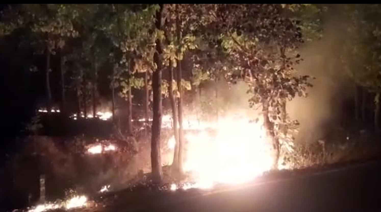  Fire in Tundi Forest in Dhanbad