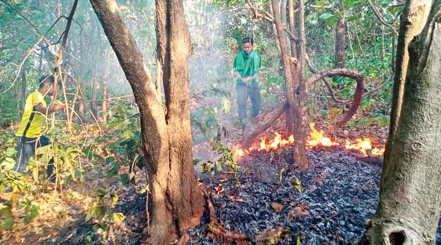 Jharkhand has witnessed small or big forest fire incidents around 1,600 times
