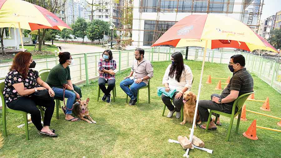 Pet parents consult Sohini Chaki Roy and Aritra Banerjee (third and fourth from left) at the dog park outside Animel Planet’s Swapno Bhor branch in New Town. 