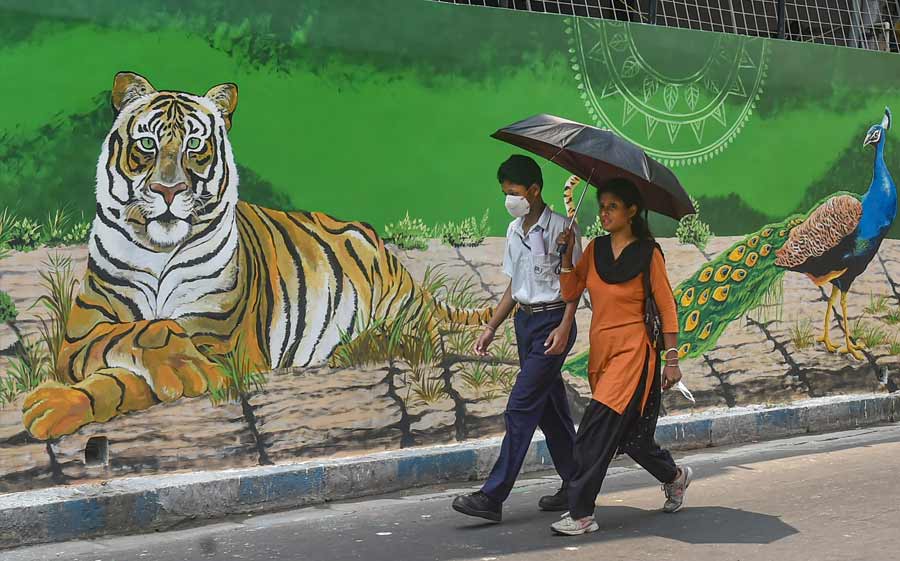 A student and his ward walk past a mural depicting the Indian national animal, the Royal Bengal Tiger, in the city on Friday. The mural is painted by Italian wildlife painter Maurizio Boshceri in collaboration with Kolkata artists