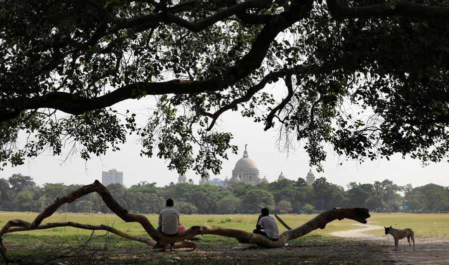 Two men seek relief under the shade of a tree on Maidan on a sweltering Tuesday afternoon. Kolkata is yet to receive its first summer squall. However, the Met office has said the dry spell is likely to end soon with a possible shower between April 20 and 23