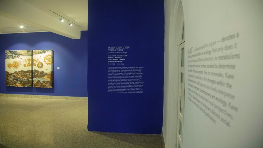 The sprawling white spaces are interspersed with pops of moody colours