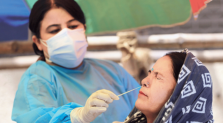 A healthcare worker collects a swab sample of a woman  in Jammu.