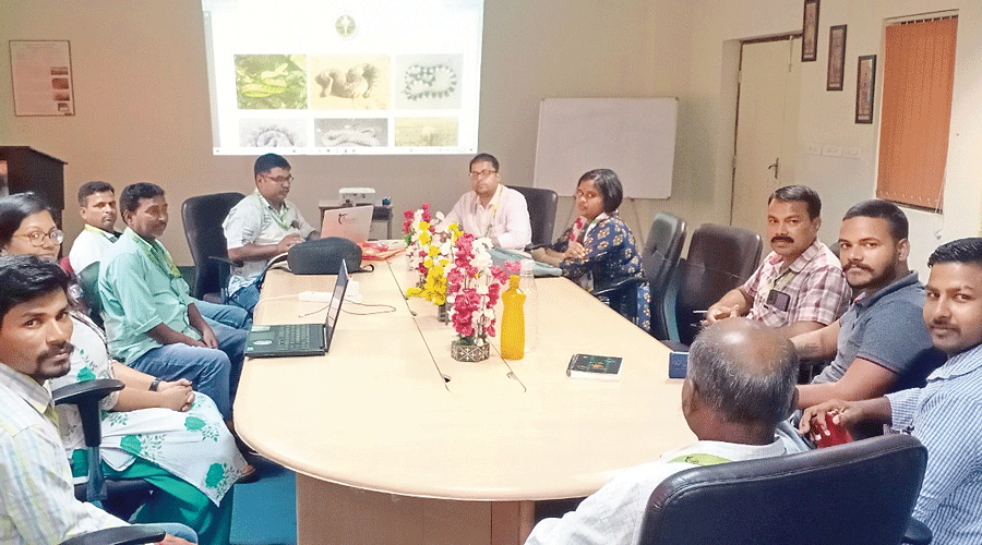 Workshop on snakebite mitigation at AIIMS, Bhubaneswar.