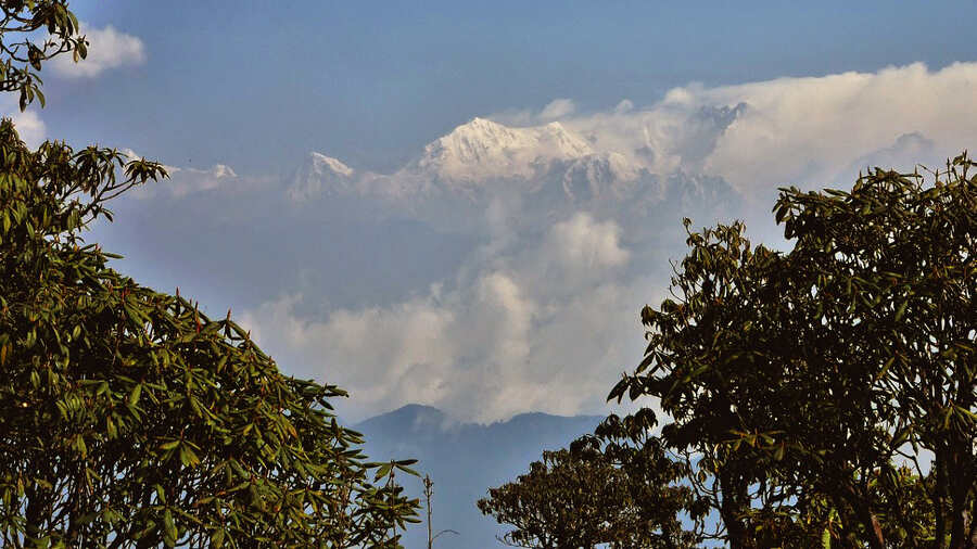 On a clear day, snow-clad peaks including the Kanchenjunga can be viewed from the sanctuary