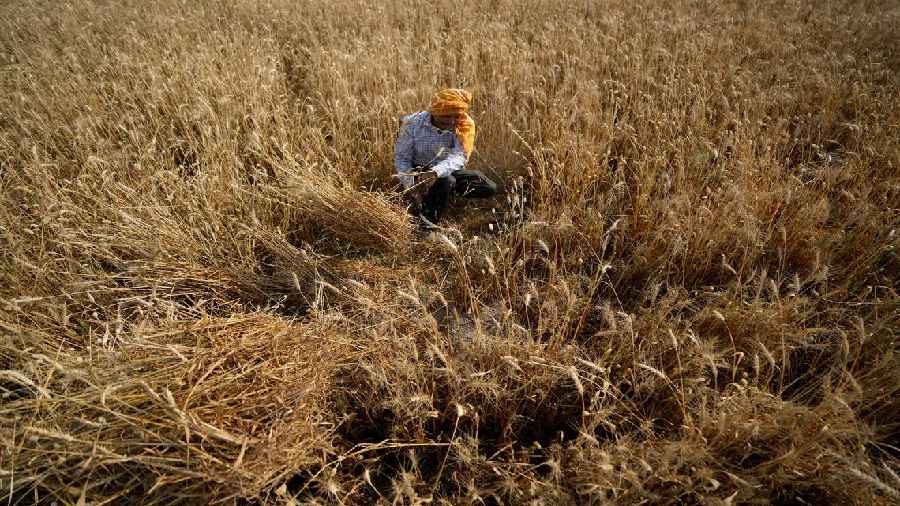 Centre says that India will still allow sales to countries that need wheat for their own food security needs if their governments request help