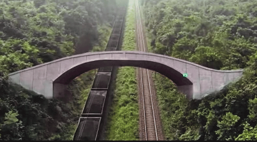 Kapilash wildlife sanctuary - Odisha to get maiden rail overpass for animals at Kapilash wildlife sanctuary in Dhenkanal - Telegraph India Kapilash wildlife sanctuary - Odisha to get maiden rail overpass for animals at Kapilash wildlife sanctuary in Dhenkanal - Telegraph India